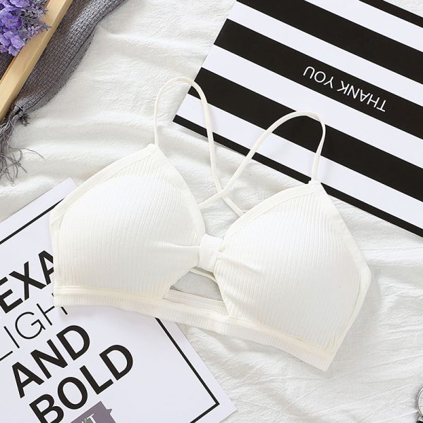 Nut Cozy bra - Image 5