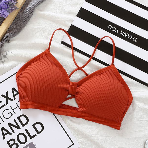 Nut Cozy bra - Image 7