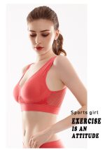 Low net sports bra - Image 12