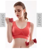 Low net sports bra - Image 11