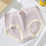 Premium Quality four color wonderful free size panty - Image 3